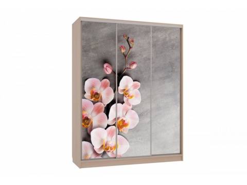 Шкаф-купе Бассо 7-600 78 дуб млечный