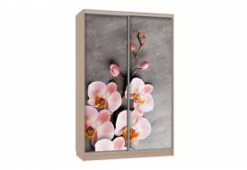 Шкаф-купе Гранд 7-600 78 дуб млечный