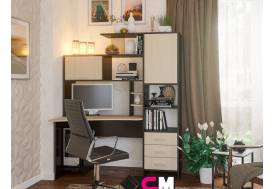 Компьютерный стол №6