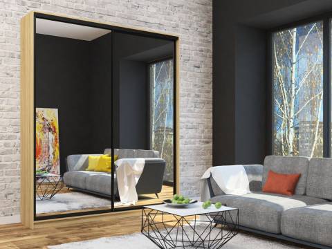 Шкаф-купе Лофт Шк20-47 2000 глубина 470 фасад зеркало