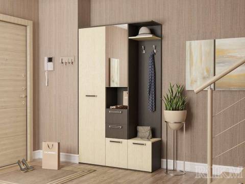 Прихожая Визит-2 РиИКМ