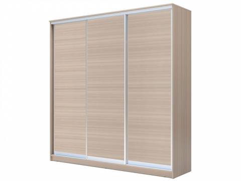 Шкаф-купе Хит 22-20/2-111