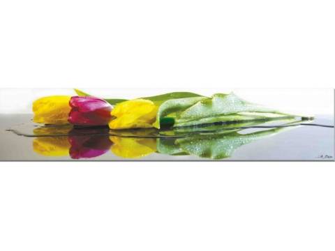 Фартук с фотопечатью Тюльпаны SP029