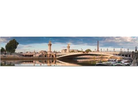 Фартук с фотопечатью Париж SP101