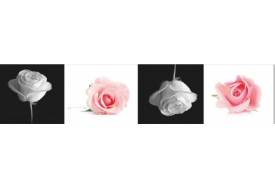 Фартук с фотопечатью Розы SP264